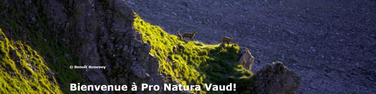 Pro Natura Vaud cover