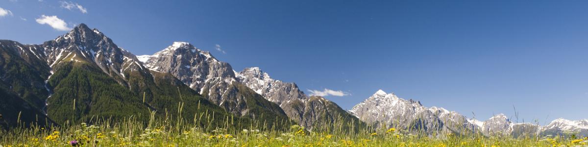 WWF Graubünden und Glarus cover
