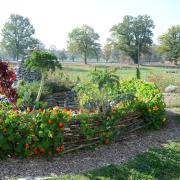 Le jardin potager : spirale aromatique