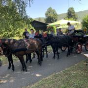 Kutschenfahrten mit unseren Ponys (zwei- und vierspännignnig)
