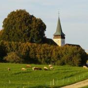 Kirche Thunstetten