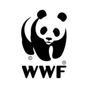 Rennender Panda für WWF-Lauf am 04.06.2024 job image