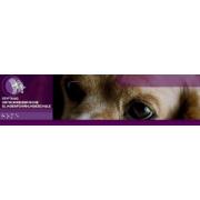 Stiftung Ostschweizerische Blindenführhundeschule
