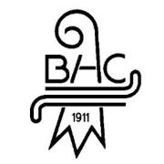 Basler Hockey Club 1911 / BHC 1911